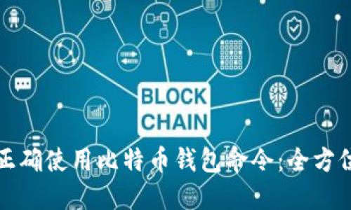 如何正确使用比特币钱包命令：全方位指南