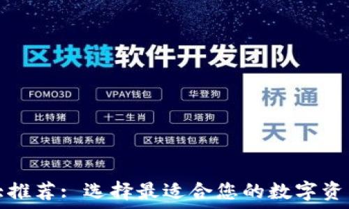  
TP钱包十大推荐: 选择最适合您的数字资产管理工具