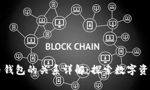 TP钱包与火币钱包的关系详解：探索数字资产管理的未来