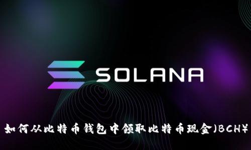 如何从比特币钱包中领取比特币现金（BCH）
