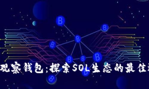 SOL观察钱包：探索SOL生态的最佳选择
