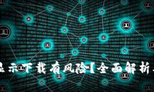 为什么TP钱包显示下载有风险？全面解析及安全使用指南