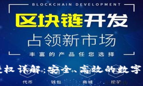 TP钱包口令授权详解：安全、高效的数字资产管理方式