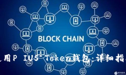 : 如何安全使用P IUS Token钱包：详细指南与最佳实践