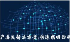   TP钱包资产丢失解决方案