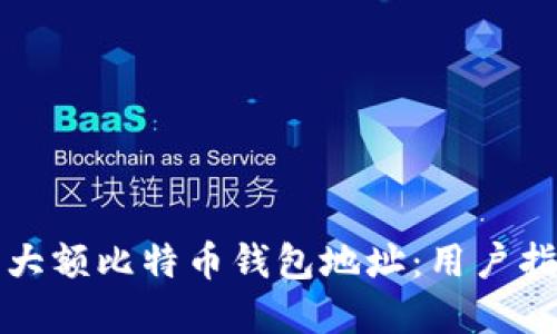 如何安全管理大额比特币钱包地址：用户指南与最佳实践