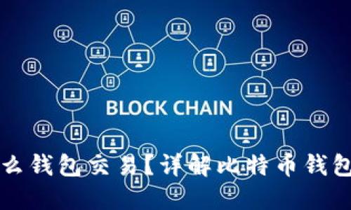 比特币交易用什么钱包交易？详解比特币钱包种类与使用指南