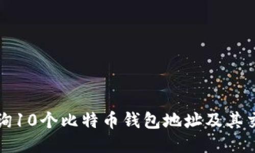 如何查询10个比特币钱包地址及其交易记录