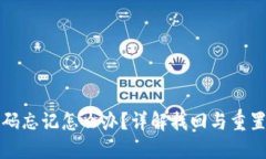 : TP钱包密码忘记怎么办？