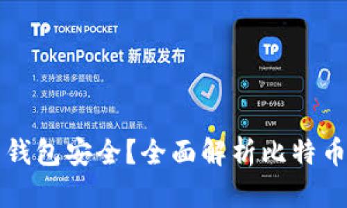 储存比特币用什么钱包安全？全面解析比特币钱包的选择与使用