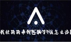 “我被狗狗币钱包骗了！