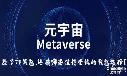 除了TP钱包，还有哪些值得尝试的钱包选择？