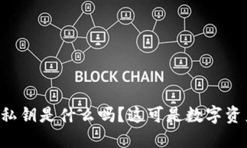 你知道TP钱包的私钥是什么吗？这可是数字资产安全的关键哦！