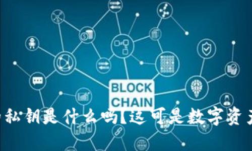 你知道TP钱包的私钥是什么吗？这可是数字资产安全的关键哦！