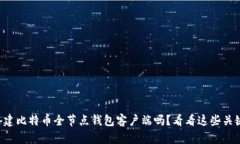 想搭建比特币全节点钱包