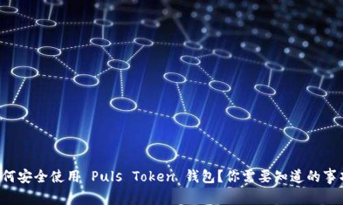 如何安全使用 Puls Token 钱包？你需要知道的事项！