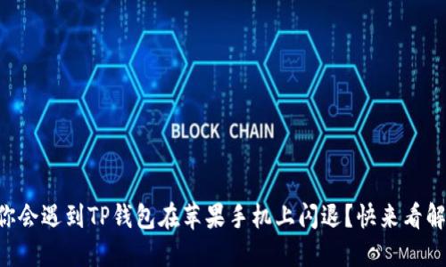 为什么你会遇到TP钱包在苹果手机上闪退？快来看解决方案！