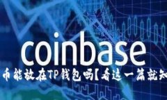 FIL币能放在TP钱包吗？看这