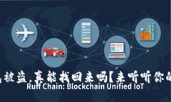 TP钱包被盗，真能找回来吗