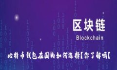比特币钱包在国内如何选