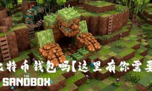 想查看你的比特币钱包吗？这里有你需要知道的一切！