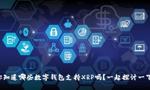 你知道哪些数字钱包支持XRP吗？一起探讨一下！