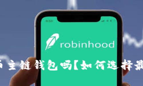 你听说过比特币主链钱包吗？如何选择最适合你的那个！