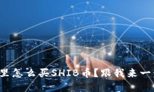 在TP钱包里怎么买SHIB币？跟我来一步步教你！