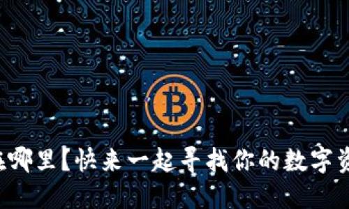 TP钱包公钥在哪里？快来一起寻找你的数字资产安全钥匙！