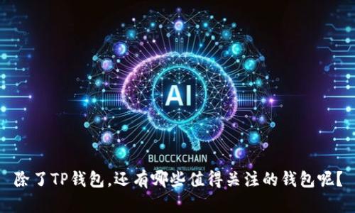 除了TP钱包，还有哪些值得关注的钱包呢？