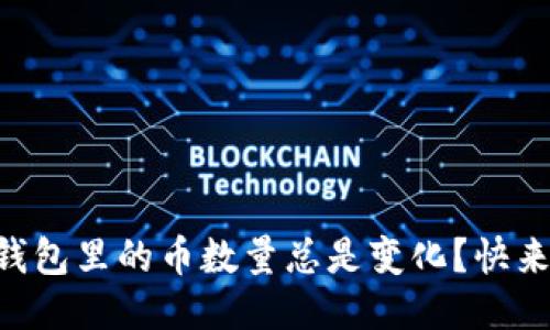 为什么TP钱包里的币数量总是变化？快来看看原因！