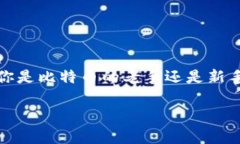 爱好者们在寻找真正比特