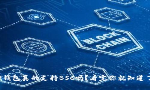 TP钱包真的支持BSC吗？看完你就知道了！