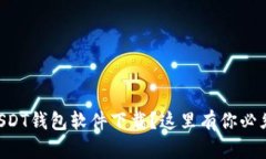 寻找最好的USDT钱包软件下