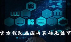 USDT官方钱包在国内真的无