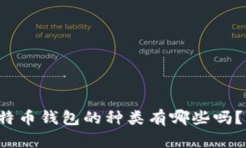 你知道比特币钱包的种类有哪些吗？来看看吧！