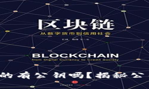 TP钱包真的有公钥吗？揭秘公钥的秘密！