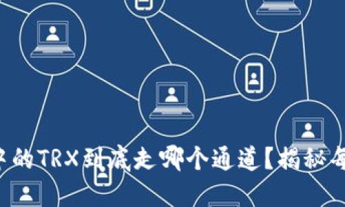 TP钱包中的TRX到底走哪个通道？揭秘每个步骤！