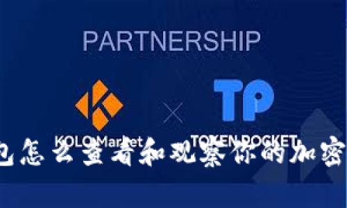 TP钱包怎么查看和观察你的加密钱包？