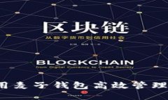 如何利用麦子钱包高效管