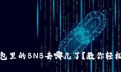 TP钱包里的BNB去哪儿了？教