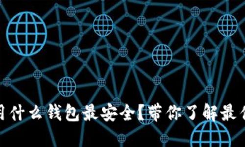 USDT用什么钱包最安全？带你了解最佳选择！