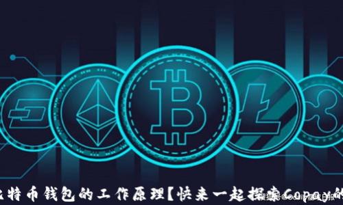 
好奇比特币钱包的工作原理？快来一起探索Copay的秘密！