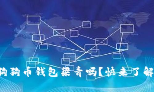 你知道狗狗币钱包梁青吗？快来了解一下吧！