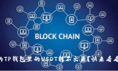 为什么我的TP钱包里的US