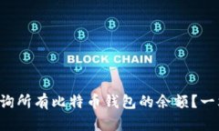 如何查询所有比特币钱包