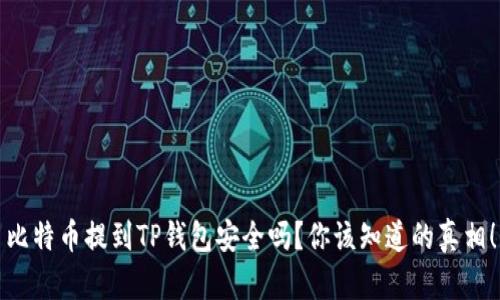 比特币提到TP钱包安全吗？你该知道的真相！