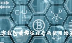 数字钱包有哪些神奇的使