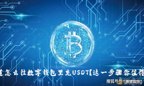 想知道怎么往数字钱包里充USDT？这一步骤你值得了解！
