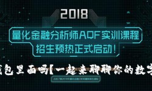狗狗币能放钱包里面吗？一起来聊聊你的数字资产安全吧！